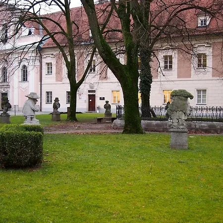 Cozy Apartment Steyr Mitte, Ruhig, Parkplatz, Terasse, 2 Schlafzimmer, Wlan Exterior photo