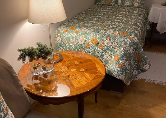 Steyr City Apartment mit 2 Schlafzimmer